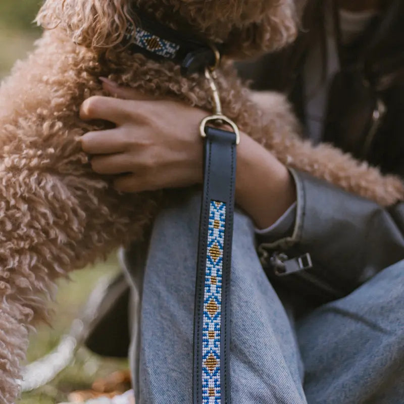 Sierra Leather Leash - Blue
