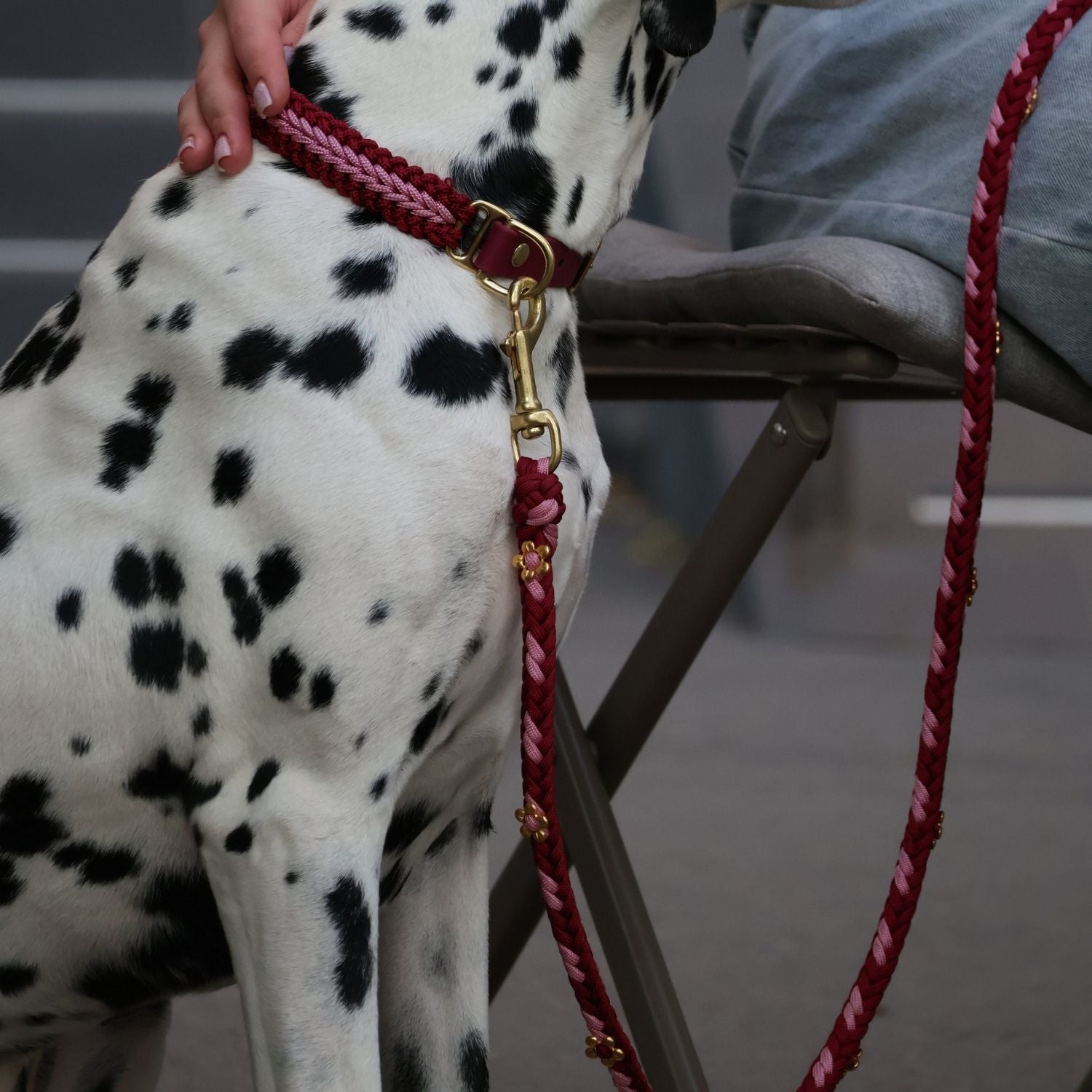 Rosalia Ruby Rose Leash