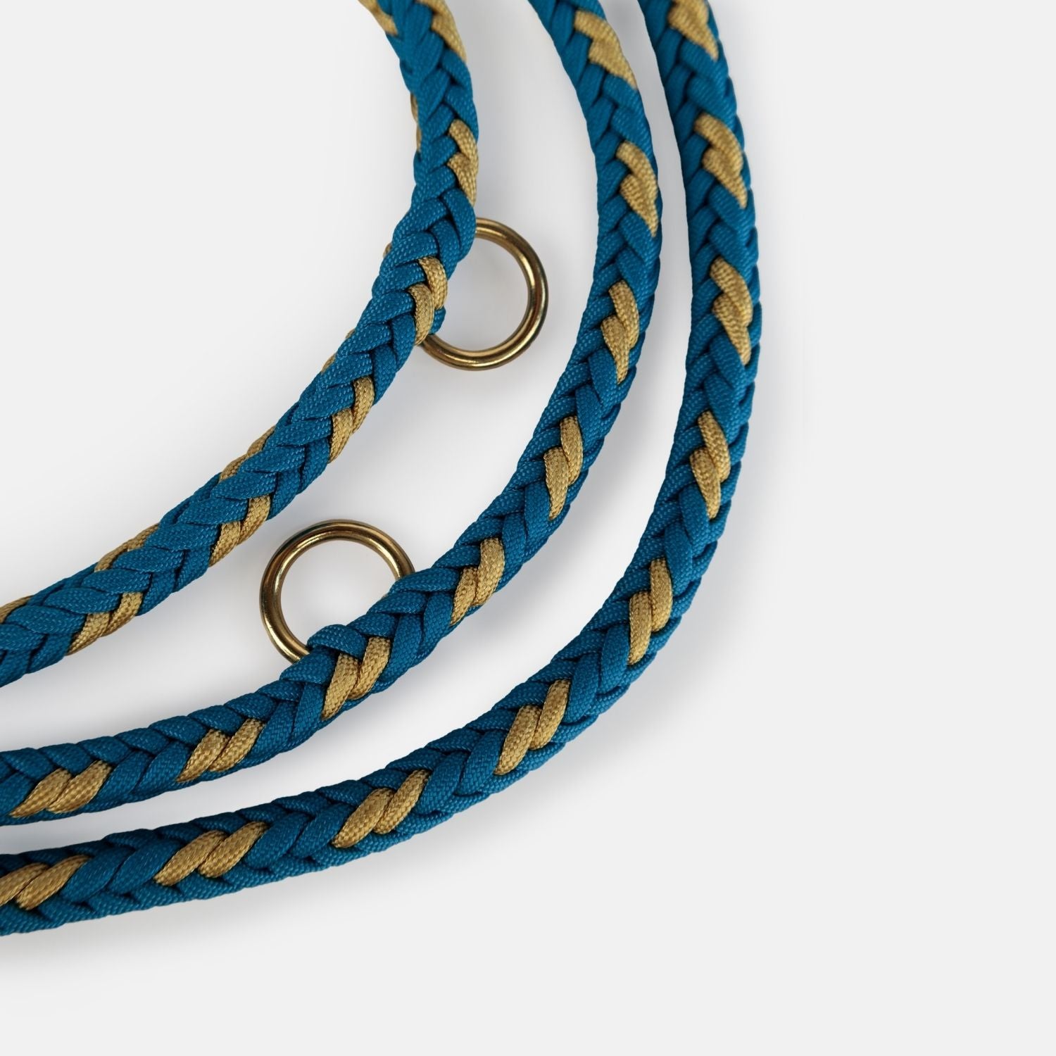 Hands - Free Turquoise Leash