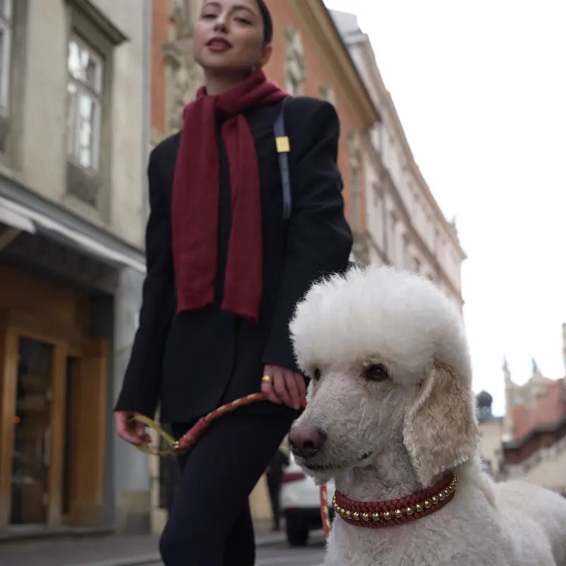 Valentina Bronze Collar