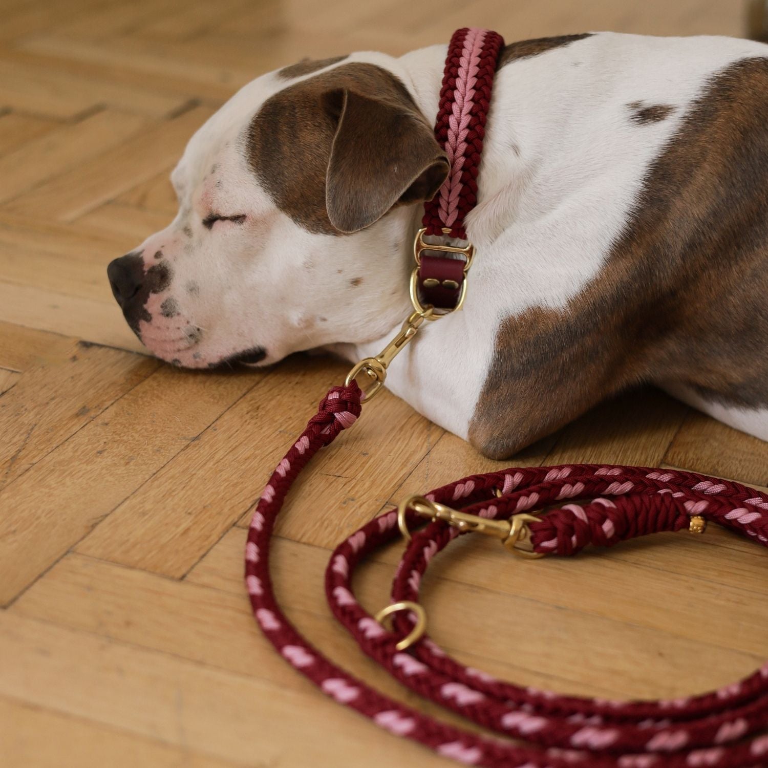 Hands - Free Ruby Rose Leash