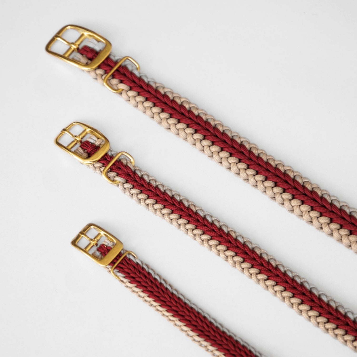 Red Collar - Catalina