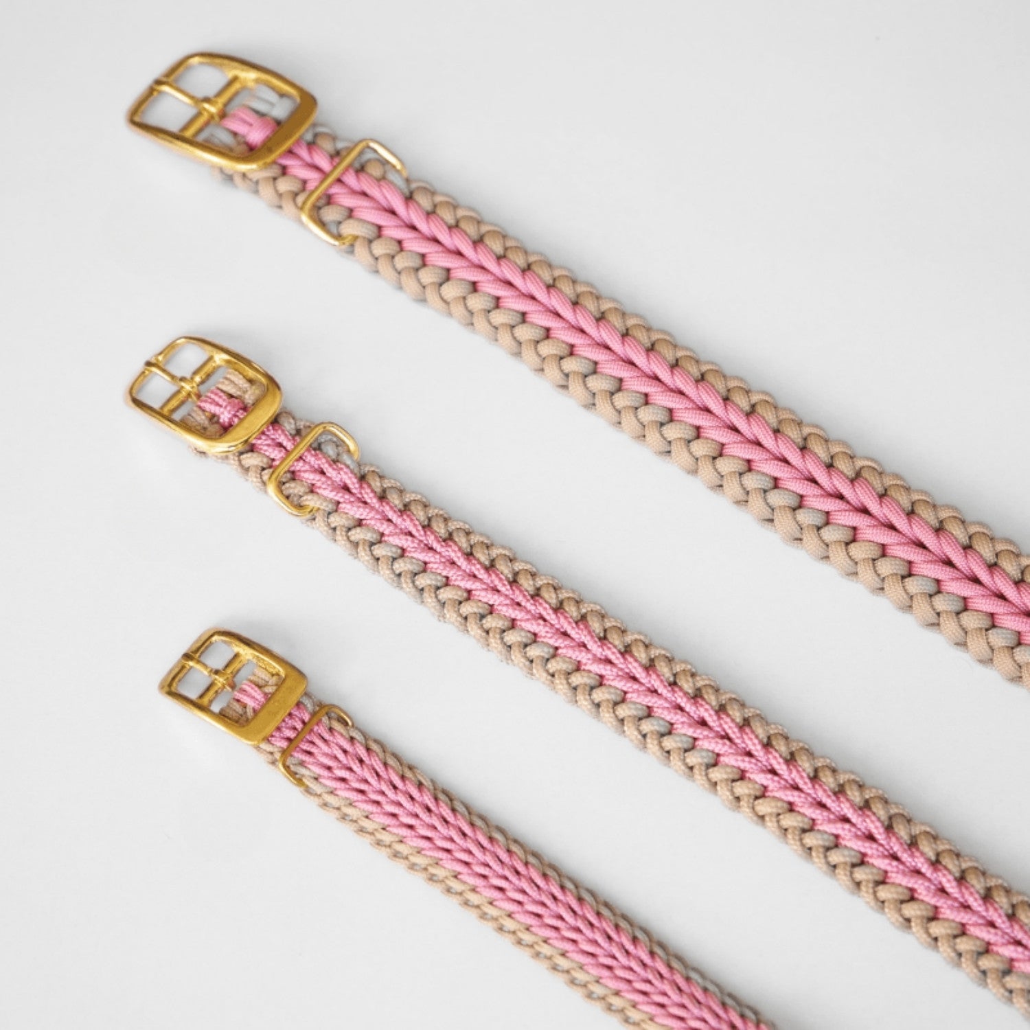 Blush Pink Collar - Catalina