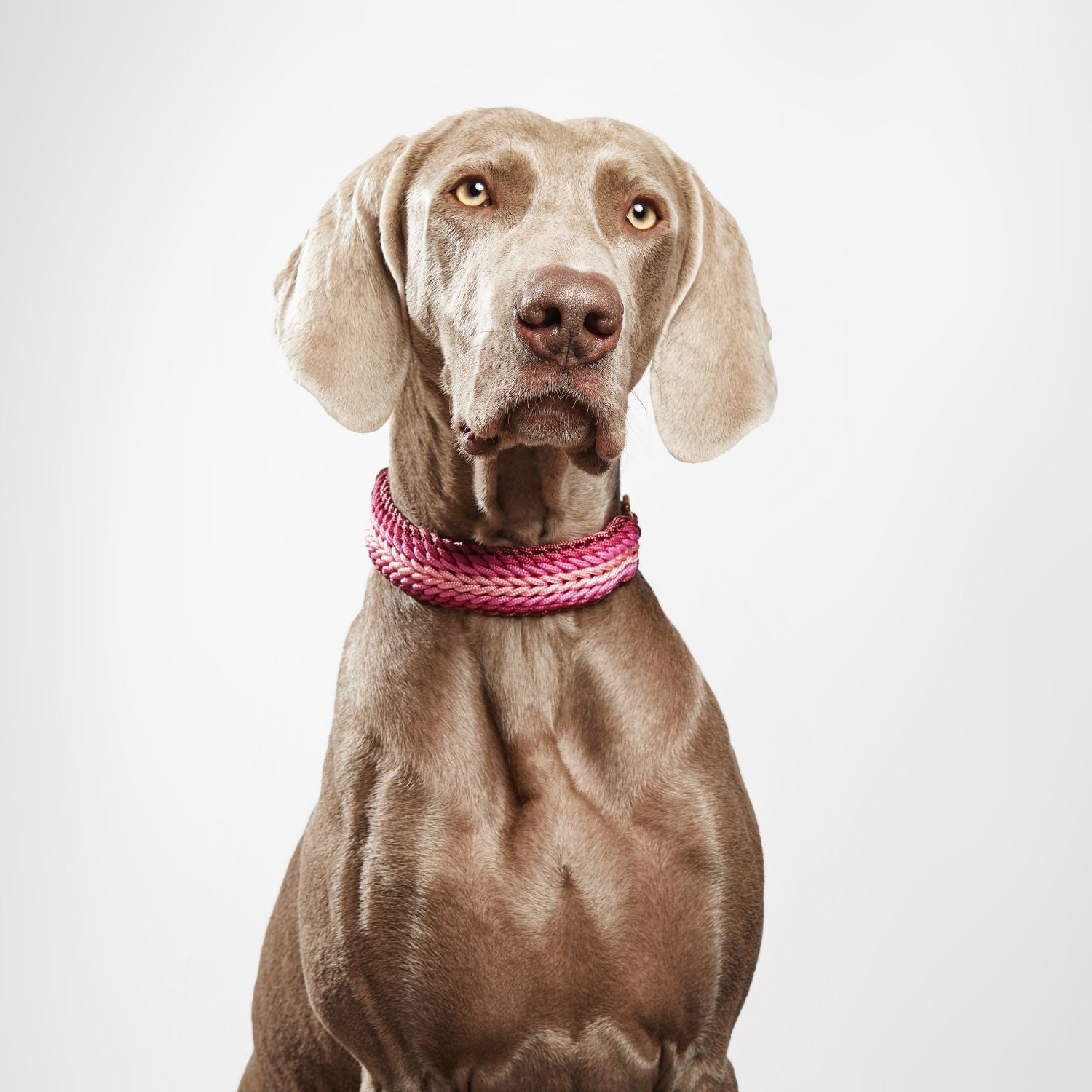 Esmeralda Rose Collar