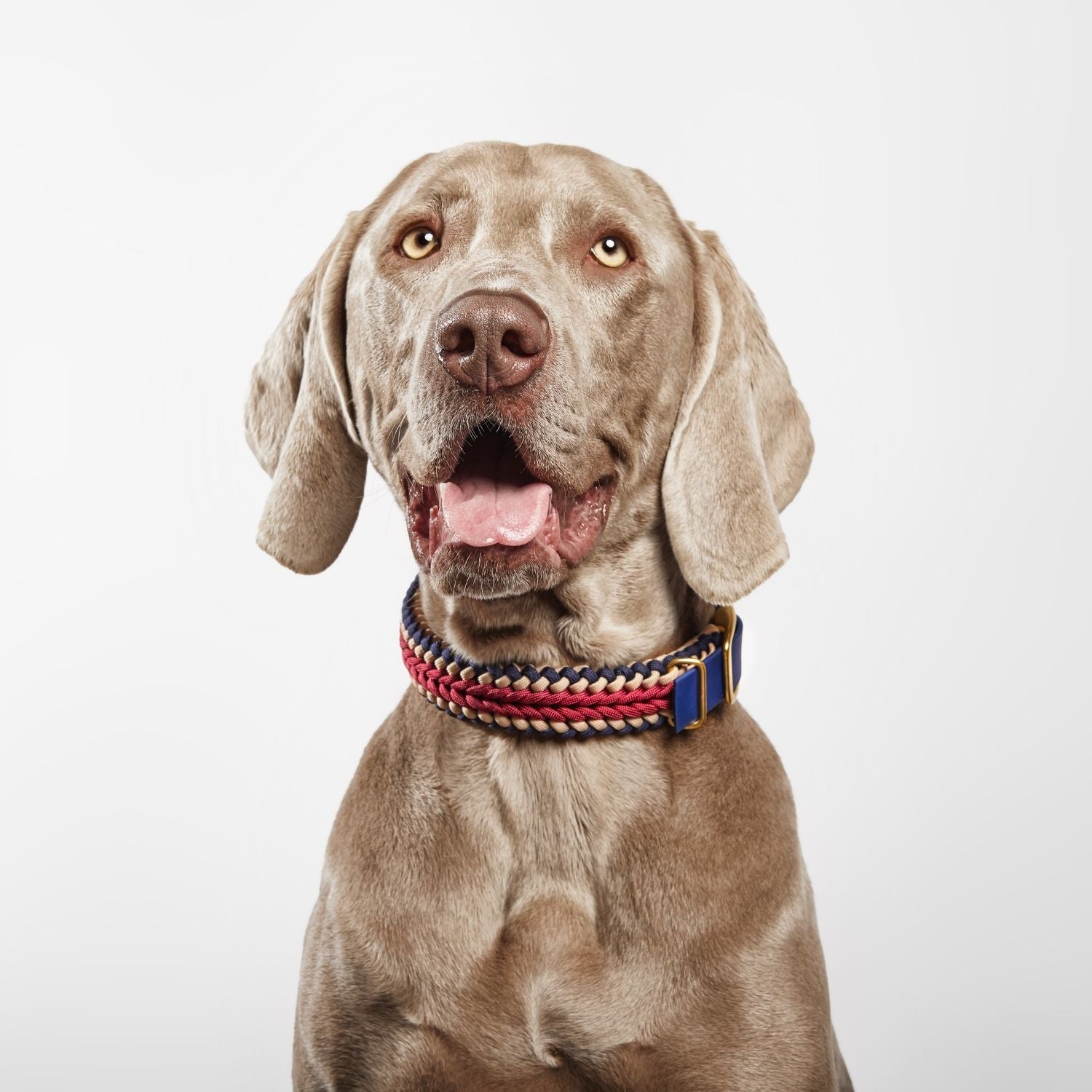 Boho Collar - Catalina