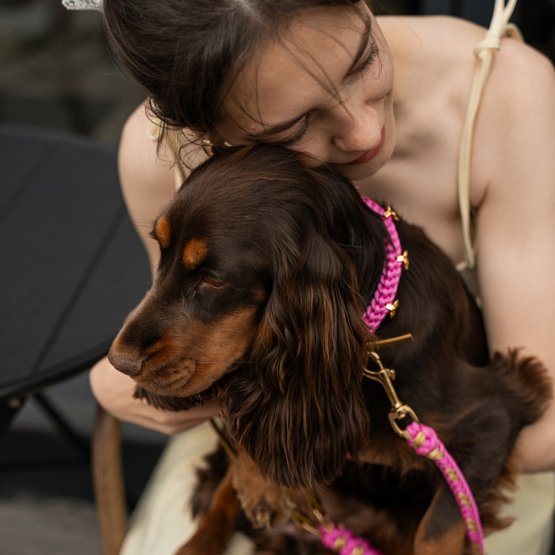 Flor BubbleGum Collar