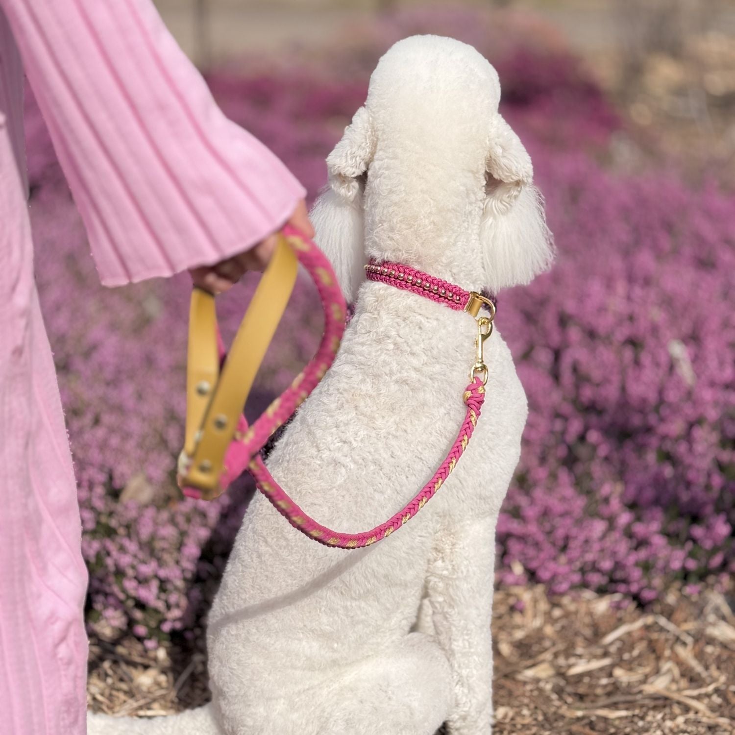 Valentina Rosé Cuello Rosa