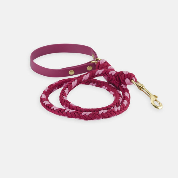 Burgundy Rose Leash - Catalina