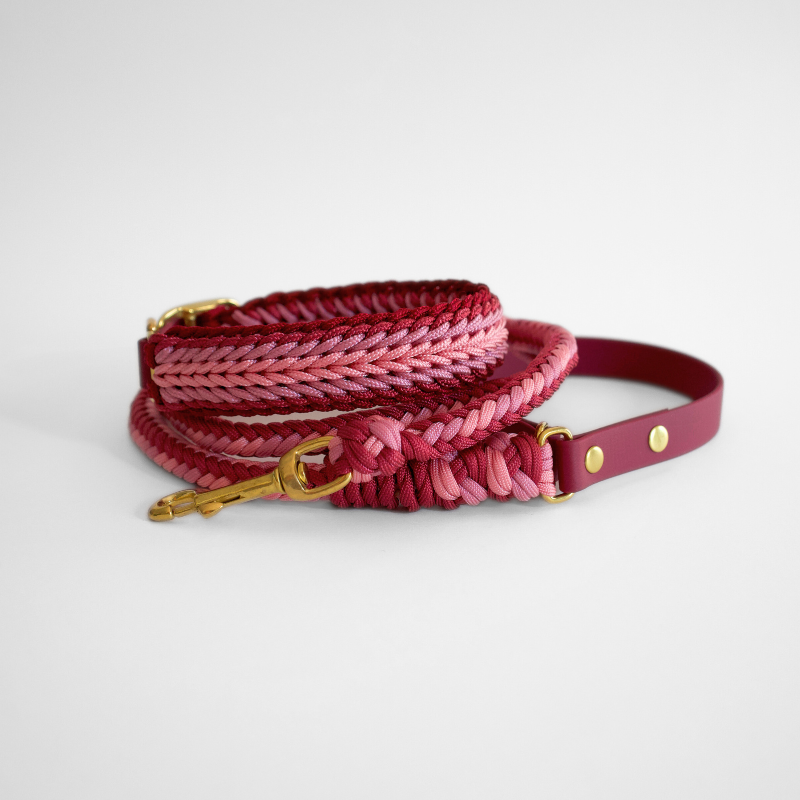 XS Esmeralda Pastel Leash