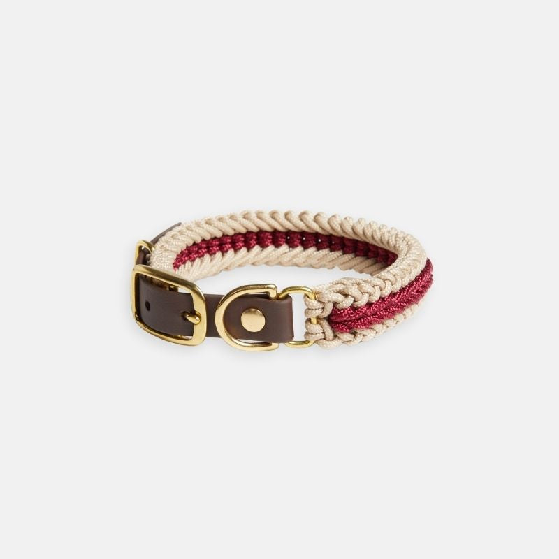 Red Collar - Catalina