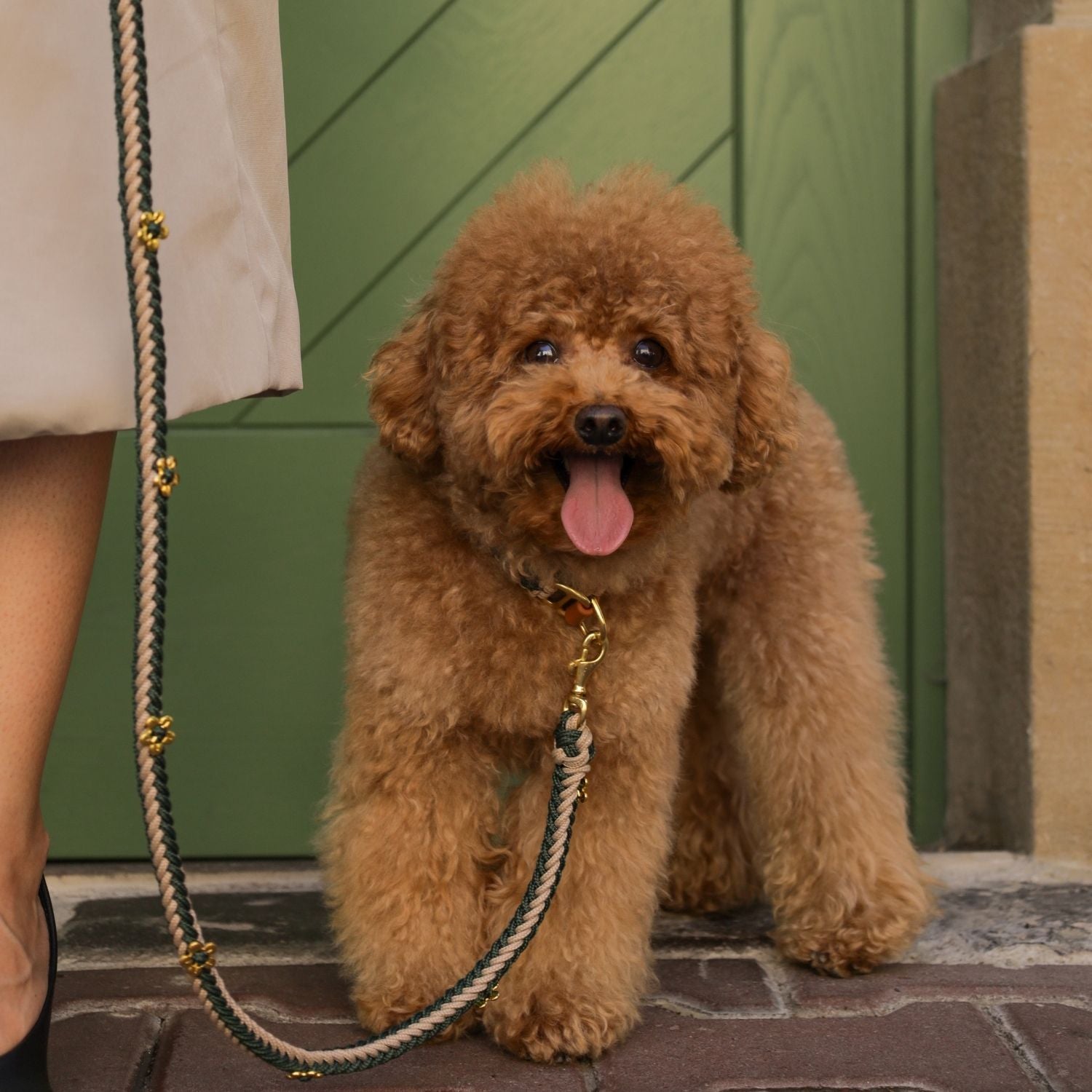 Rosalia Dark Green Leash