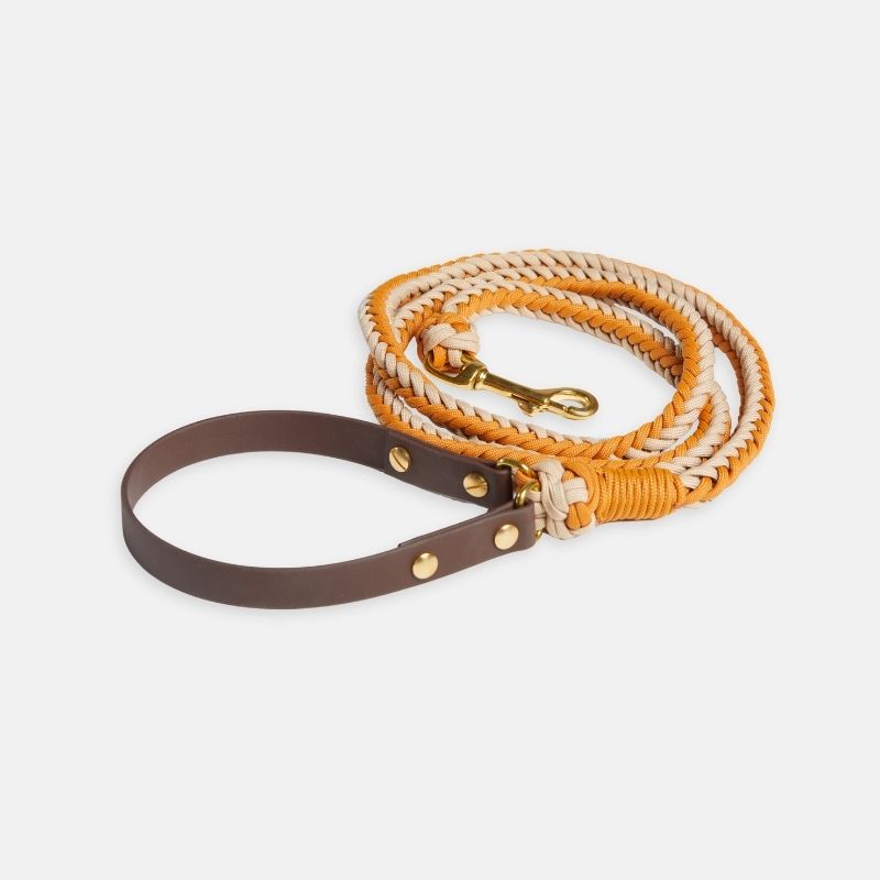 Mustard Leash - Catalina