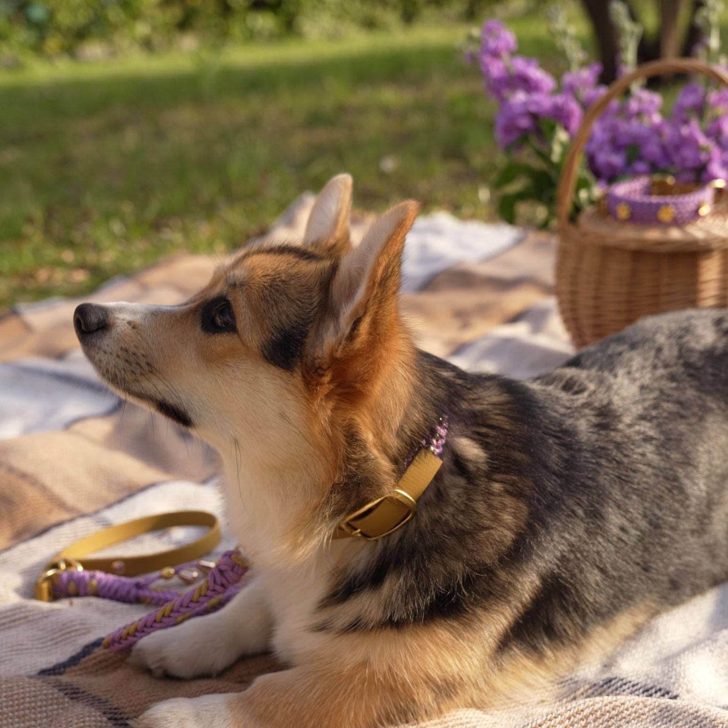 Flor Lavender Leash