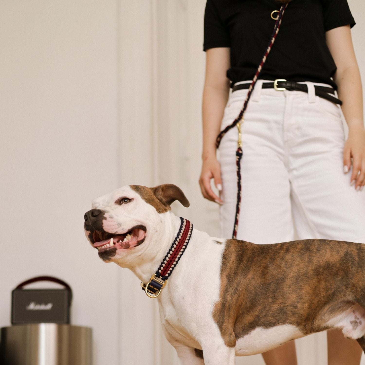 Hands - Free Boho Leash