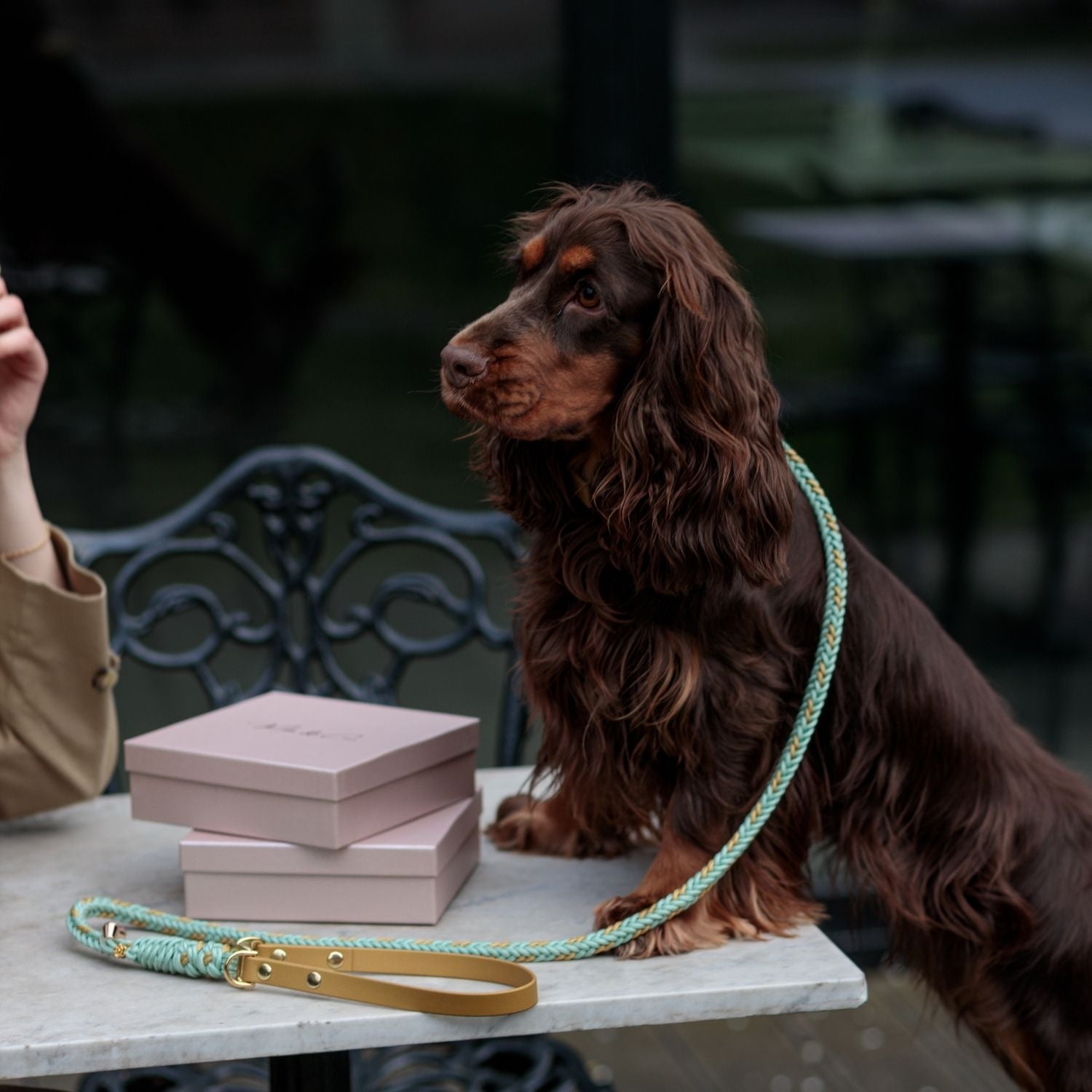 Flor Tiffany Leash