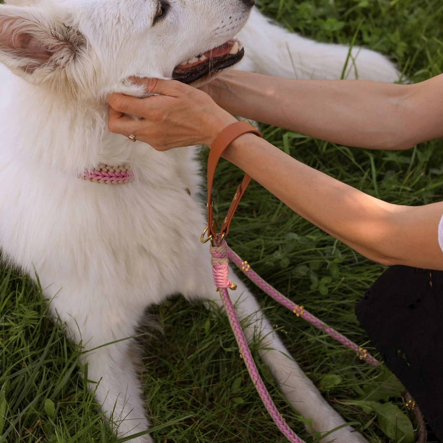 Rosalia Blush Pink Leash