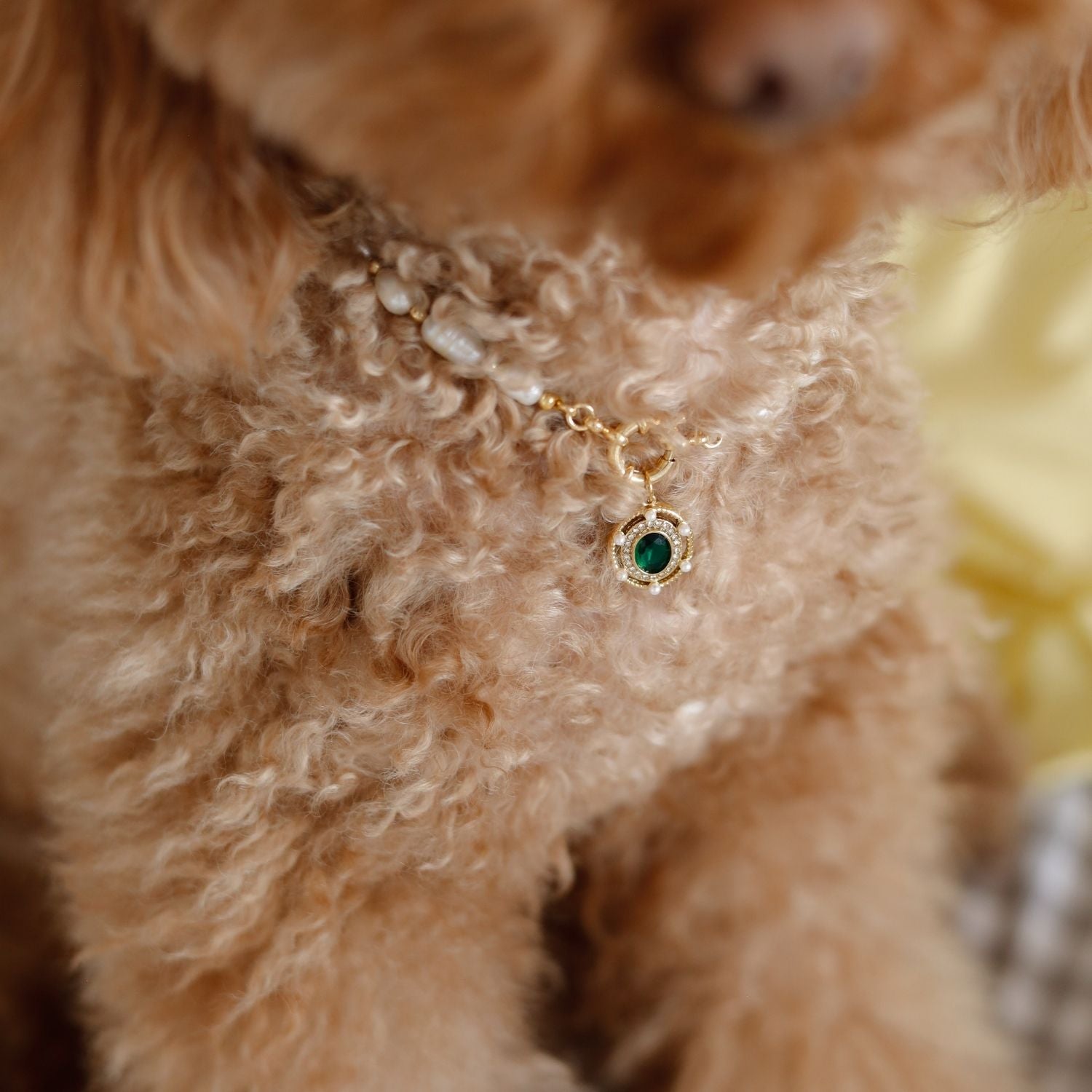 Freshwater Pearl Necklace