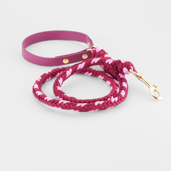 Correa Burgundy Rose - Catalina