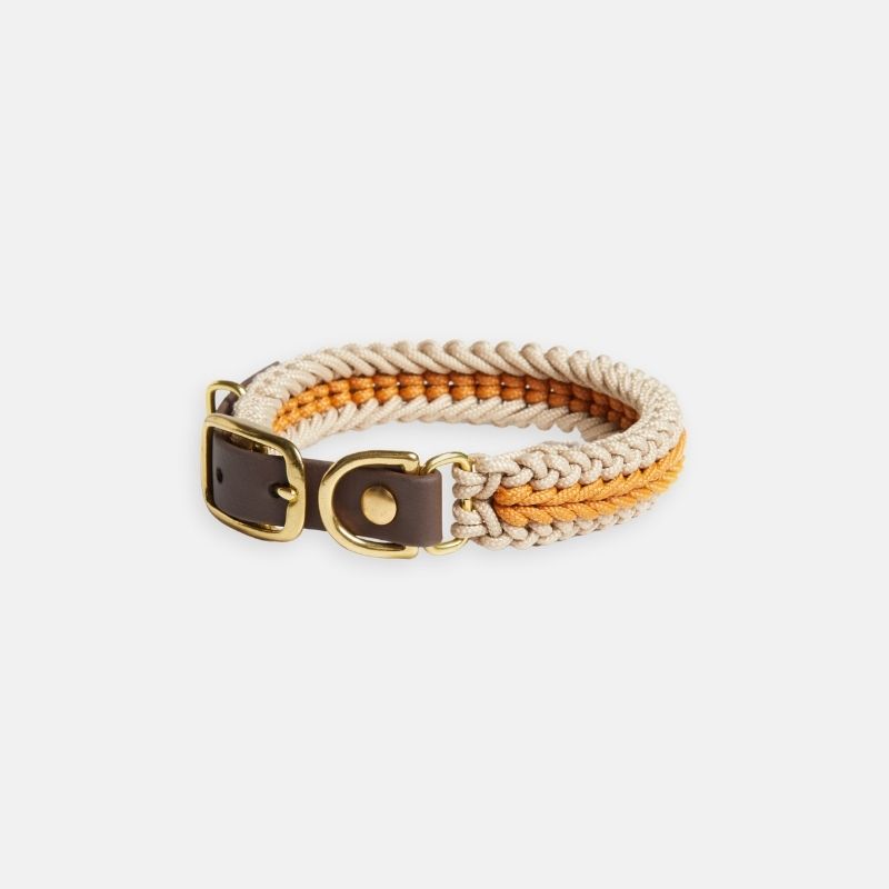 Mustard Collar - Catalina