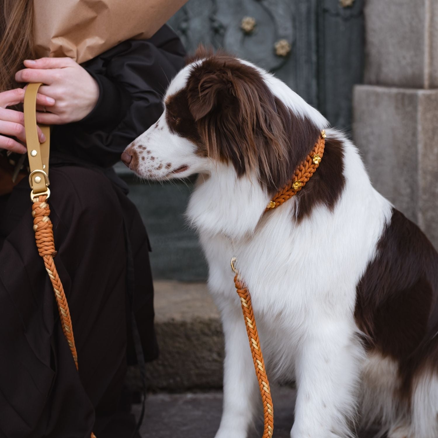 Flor Terracotta Collar