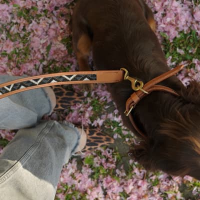 Sierra Leather Collar