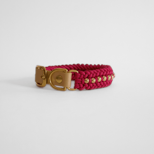 Valentina Rosé Pink Collar