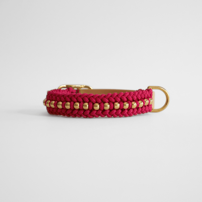 Valentina Rosé Pink Collar