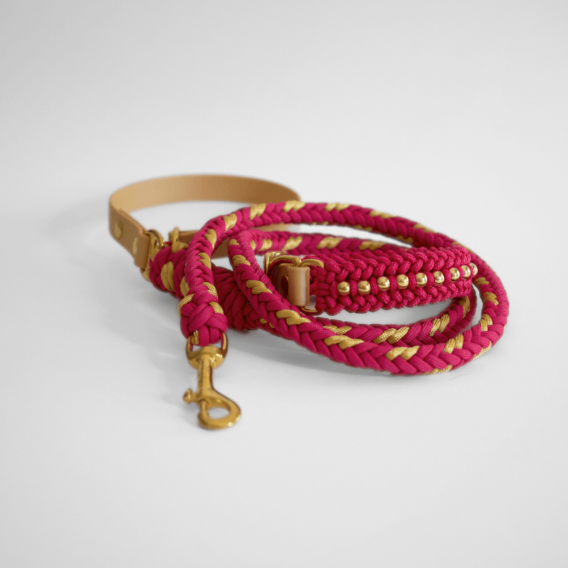 Valentina Rosé Pink Leash