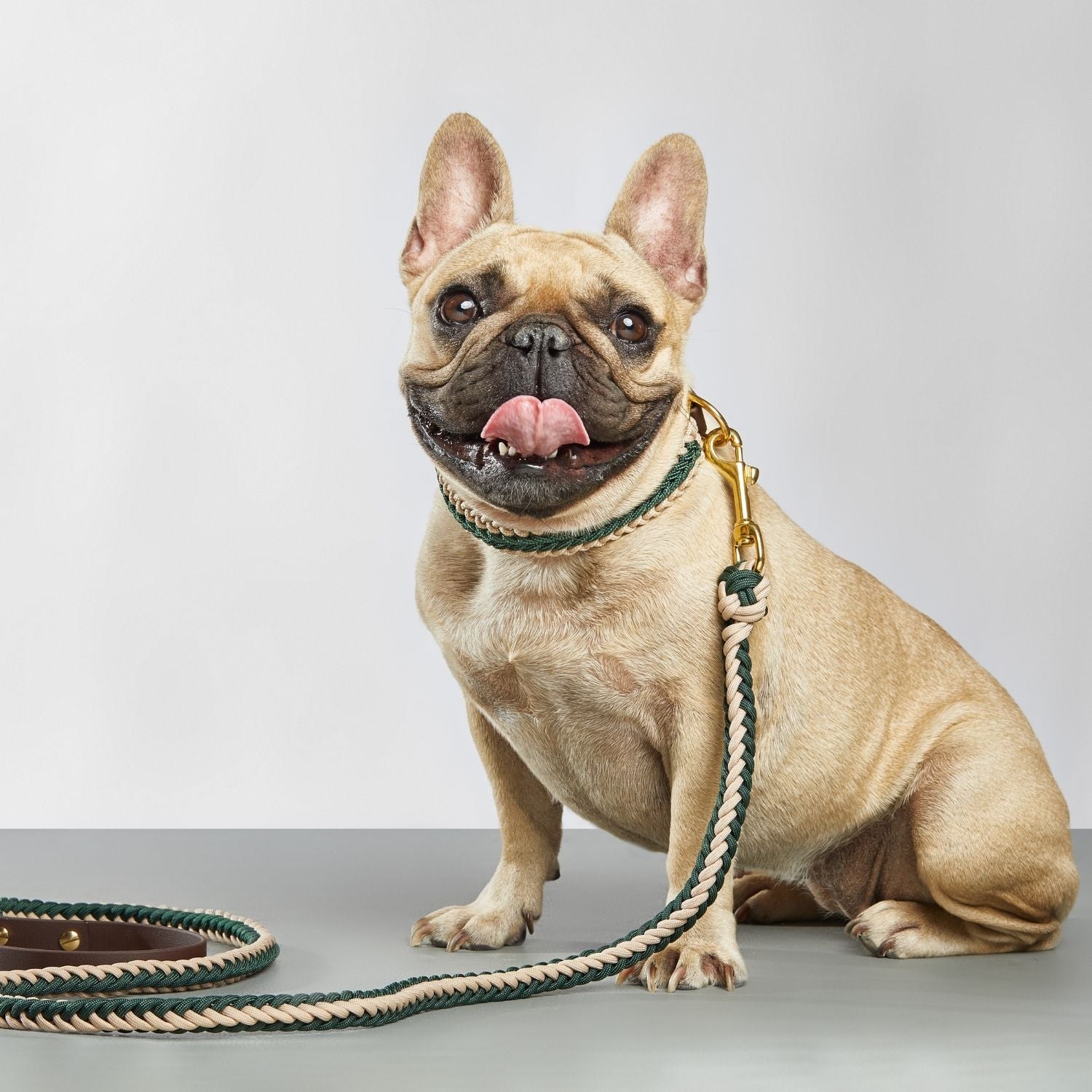 Dark Green Leash - Catalina