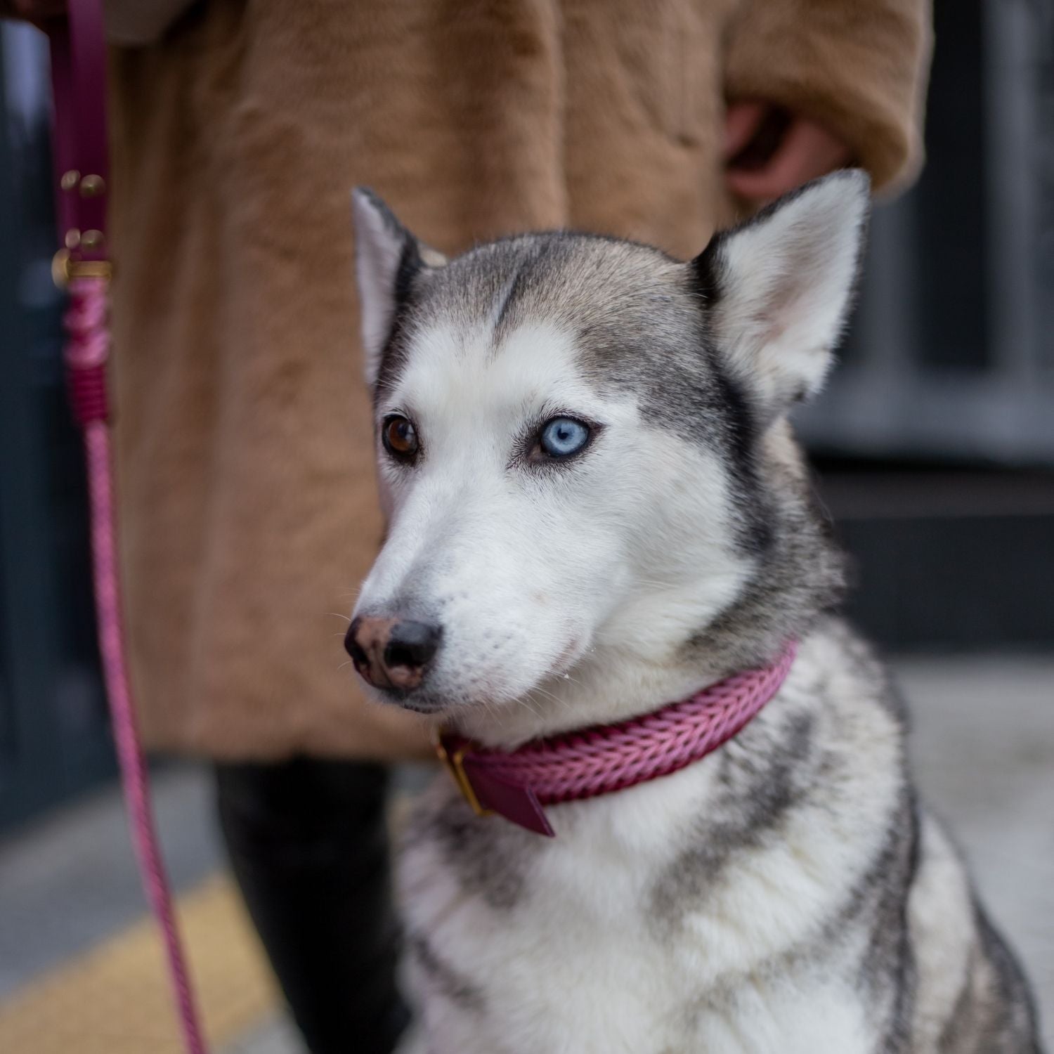 Esmeralda Pastel Collar