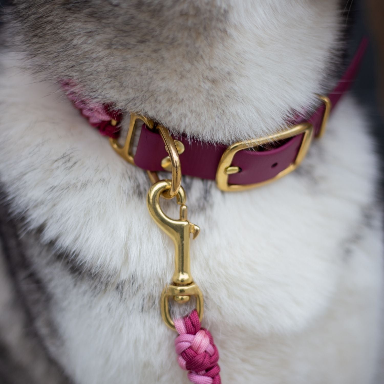Esmeralda Pastel Collar
