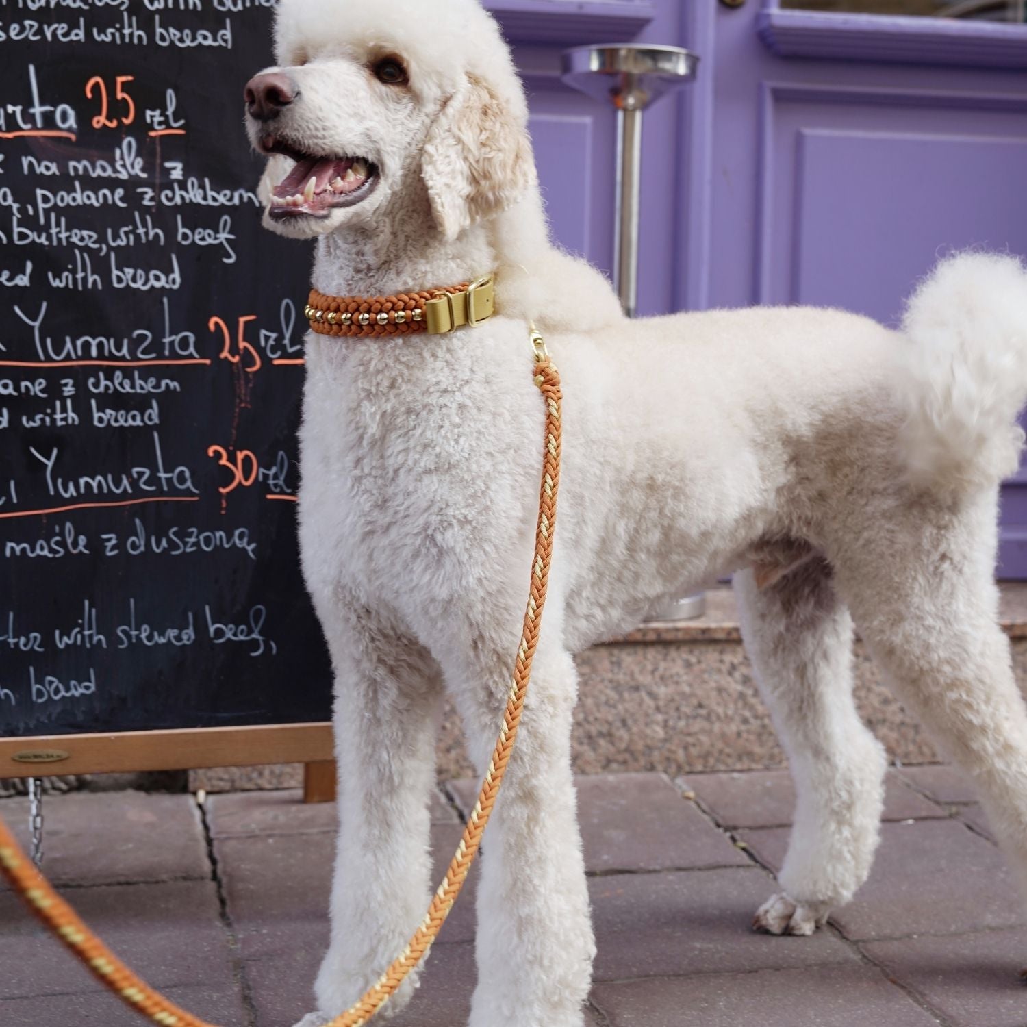 Valentina Terracotta Leash