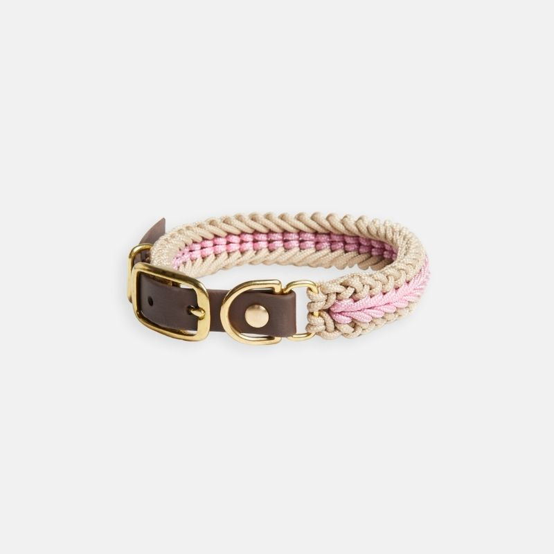 Blush Pink Collar - Catalina
