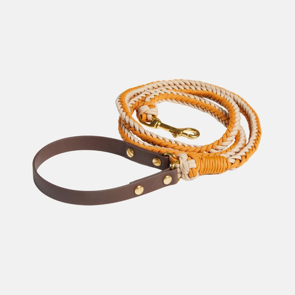 Mustard Leash - Catalina