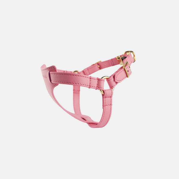 Italian Leather Harness – Pink & Gold