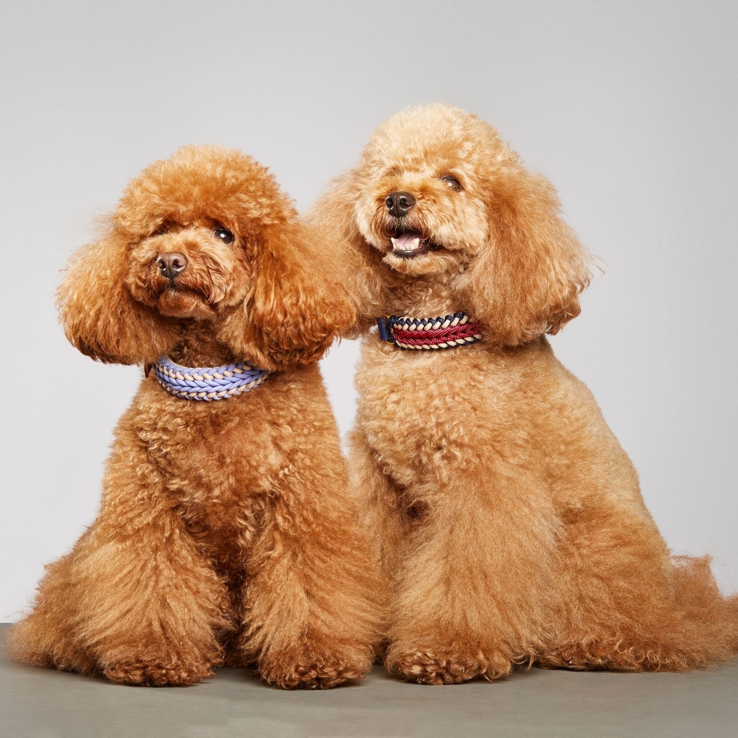 Boho Collar - Catalina