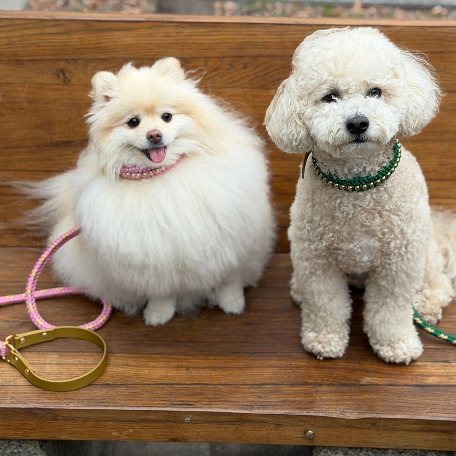 Valentina Blush Pink Collar