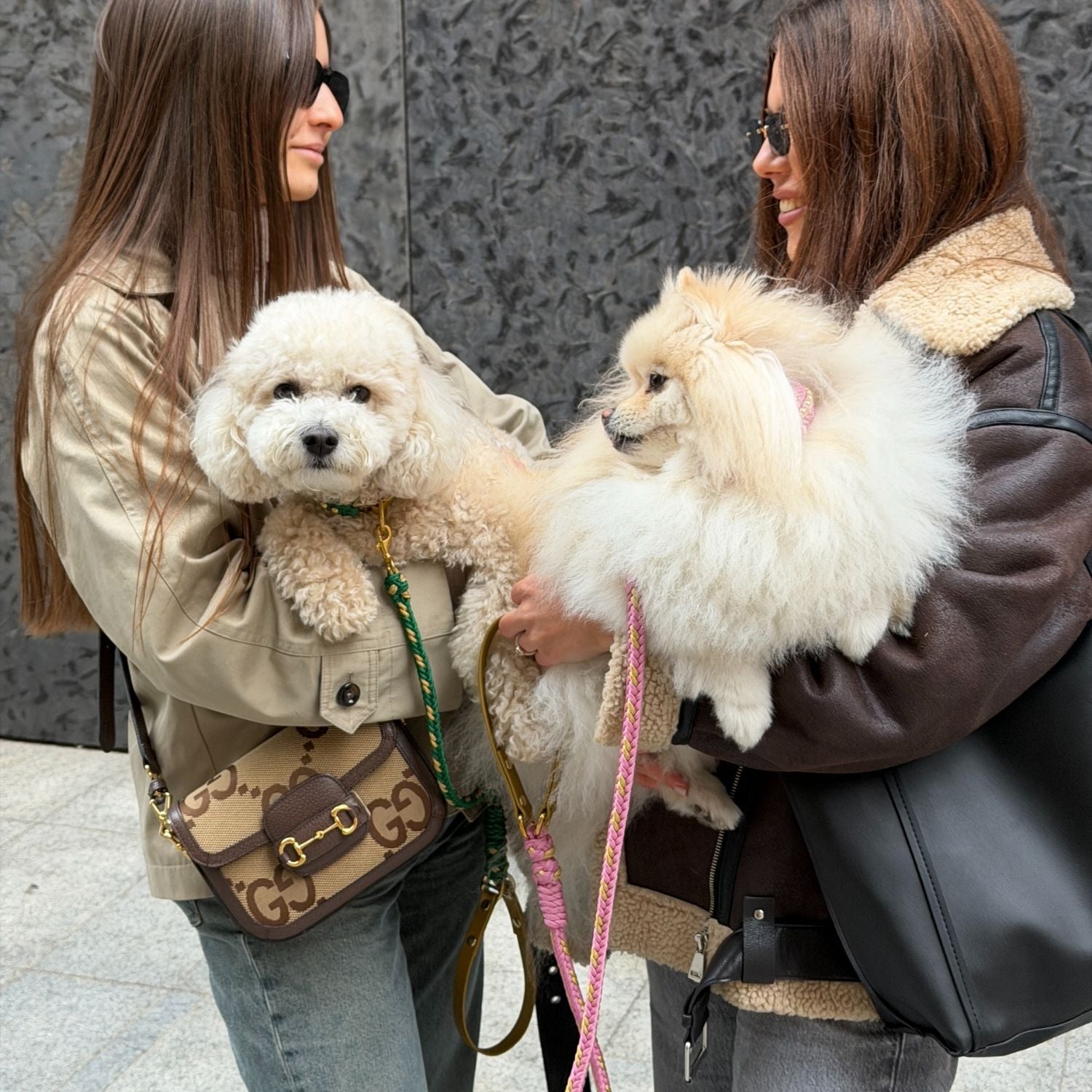 Valentina Blush Pink Collar