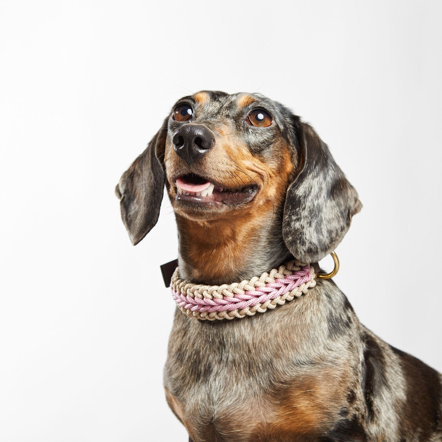 Blush Pink Collar - Catalina