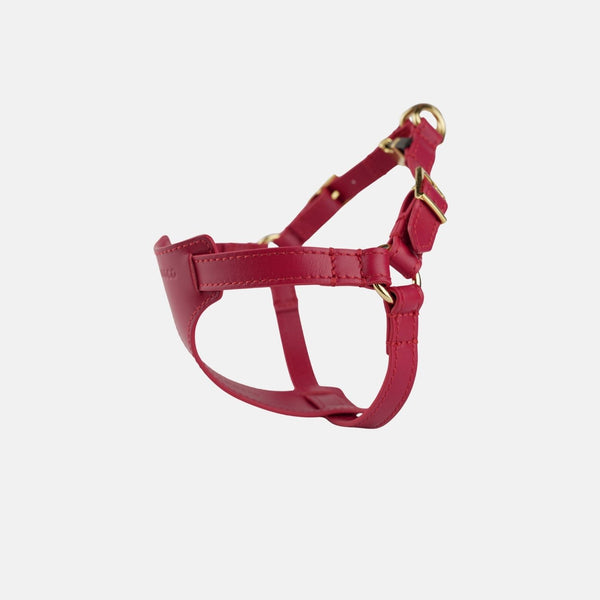 Italian Leather Harness – Burgundy & Gold