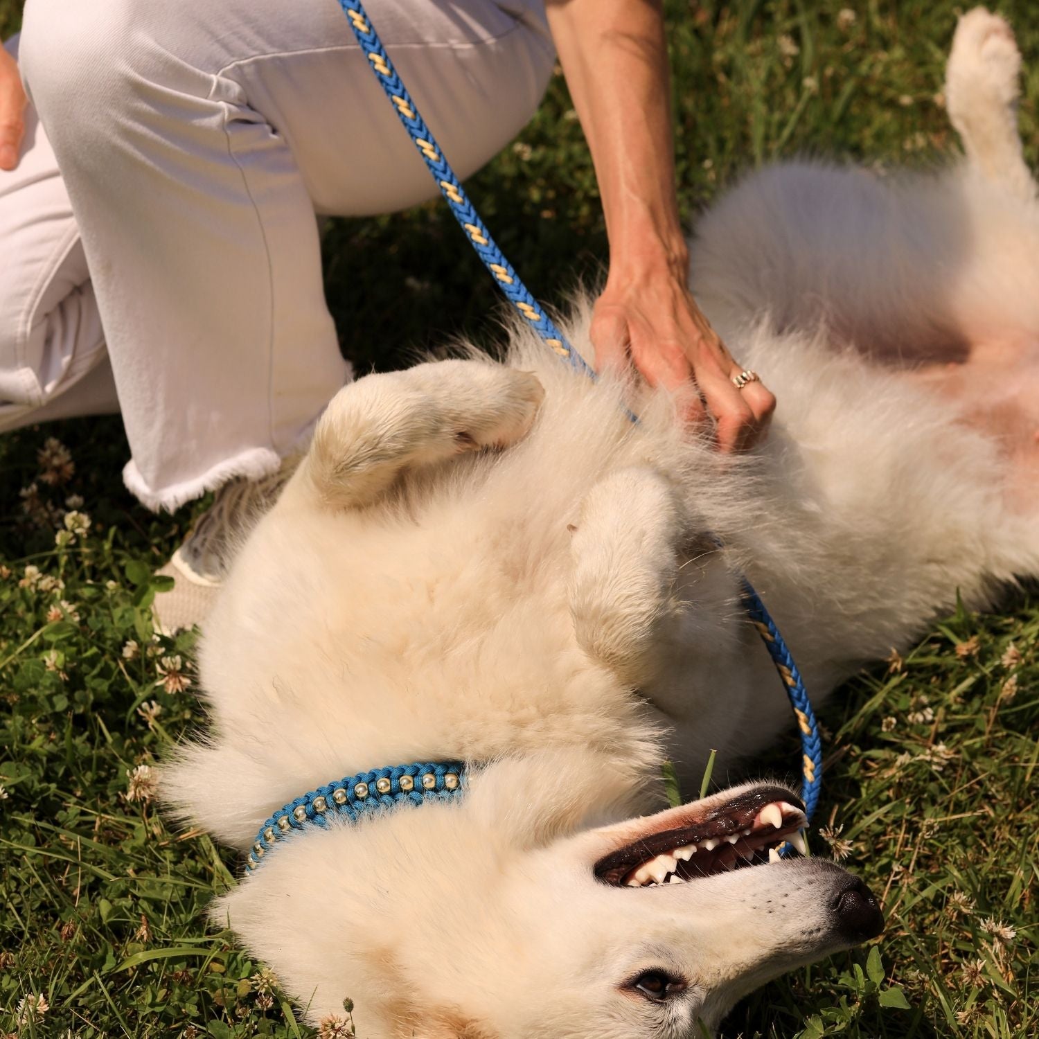 Hands - Free Turquoise Leash
