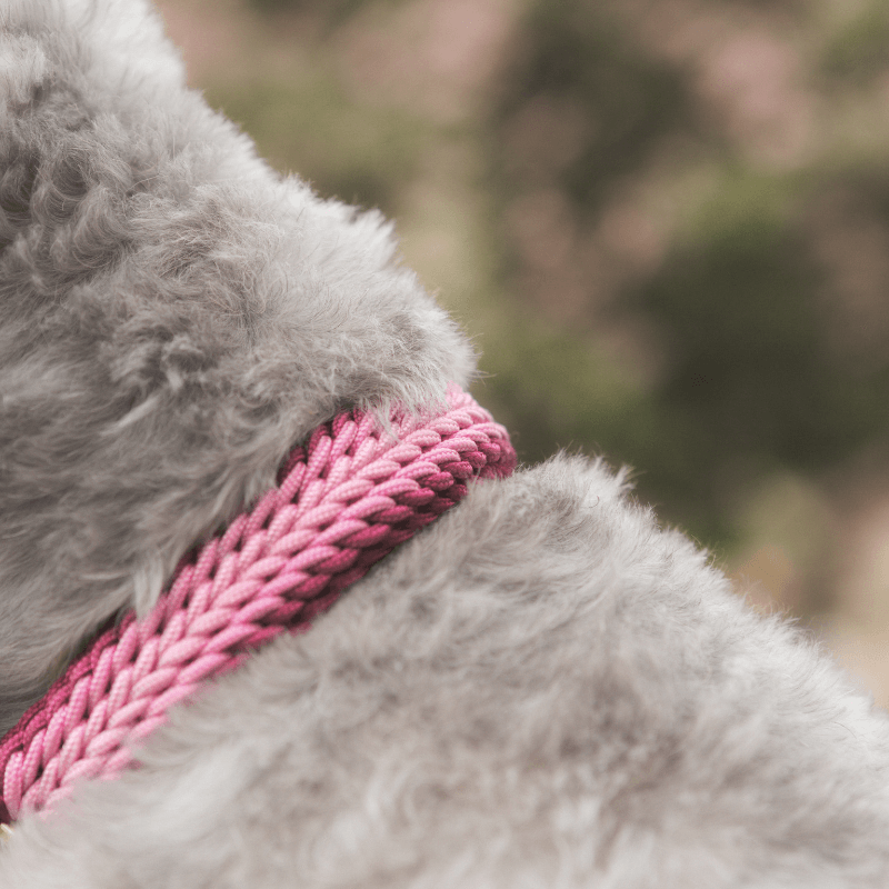 Collar Pastel - Esmeralda