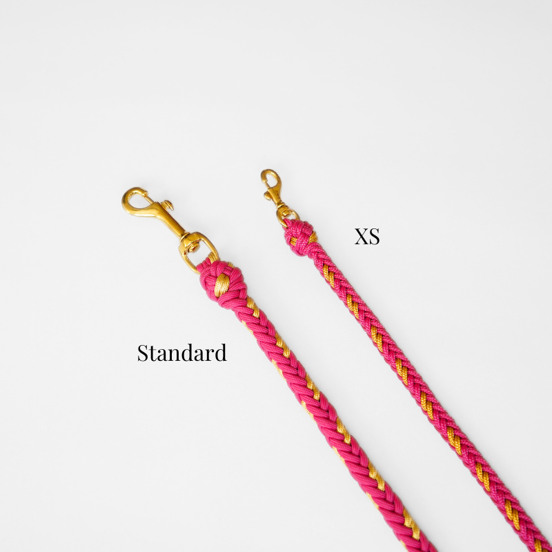 Valentina Rosé Pink Leash