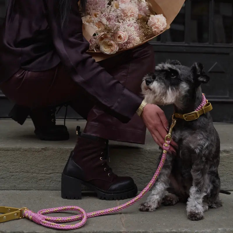 Flor Blush Pink Collar