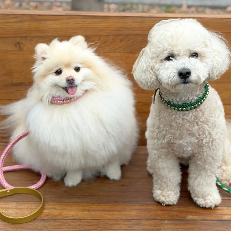 Valentina Blush Pink Collar