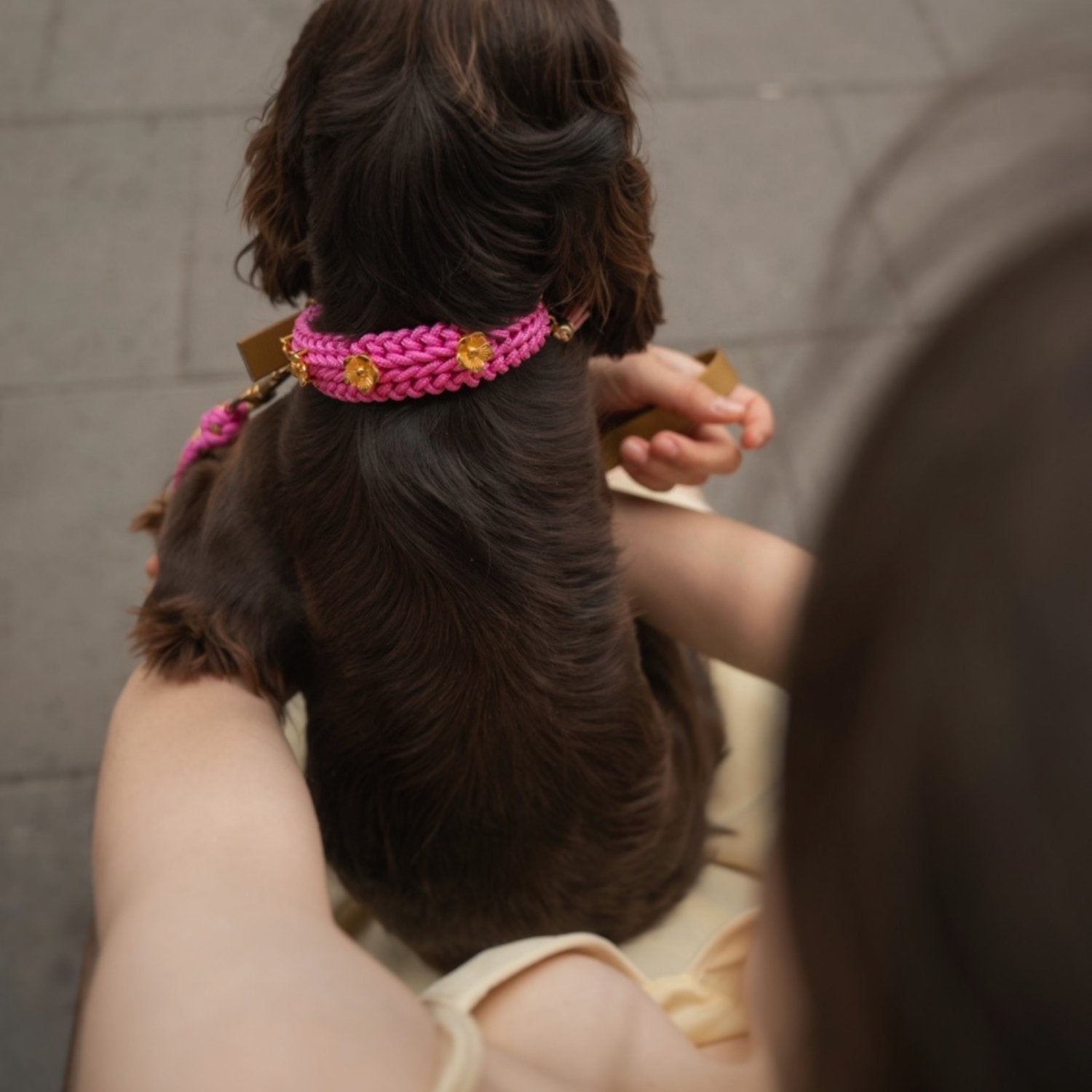 Flor BubbleGum Collar