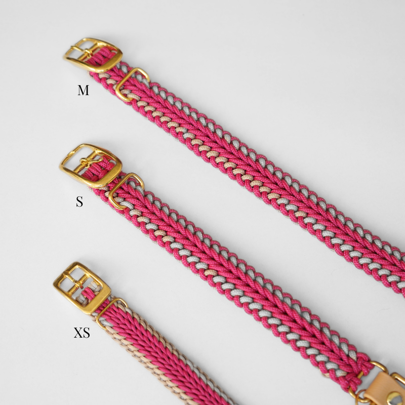 Catalina Rosie Pink Collar