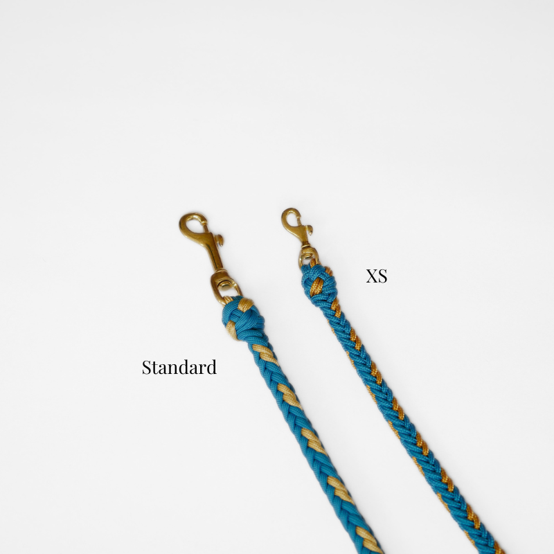 Valentina Greece Blue Leash