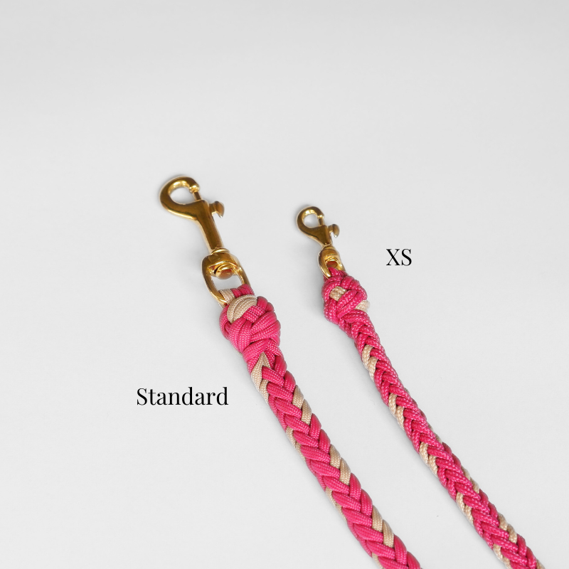 Catalina Rosie Pink Leash