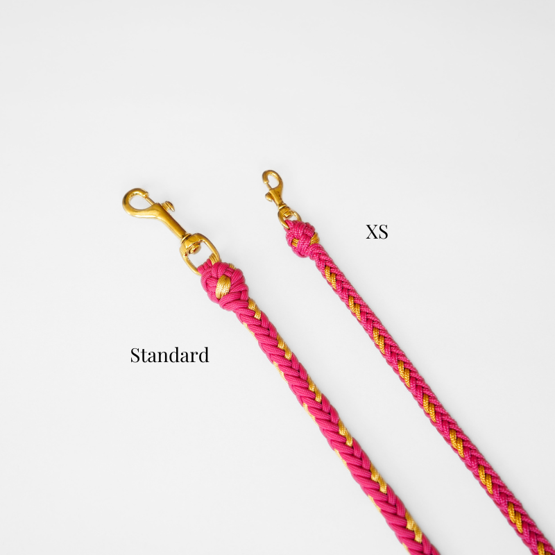 Valentina Rosé Pink Leash